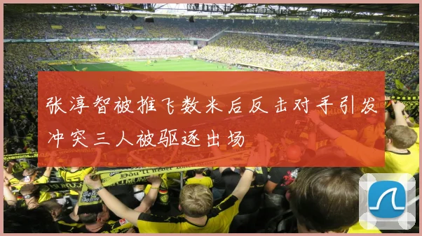 张淳智被推飞数米后反击对手引发冲突三人被驱逐出场