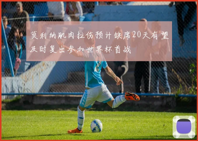 莫利纳肌肉拉伤预计缺席20天有望及时复出参加世界杯首战