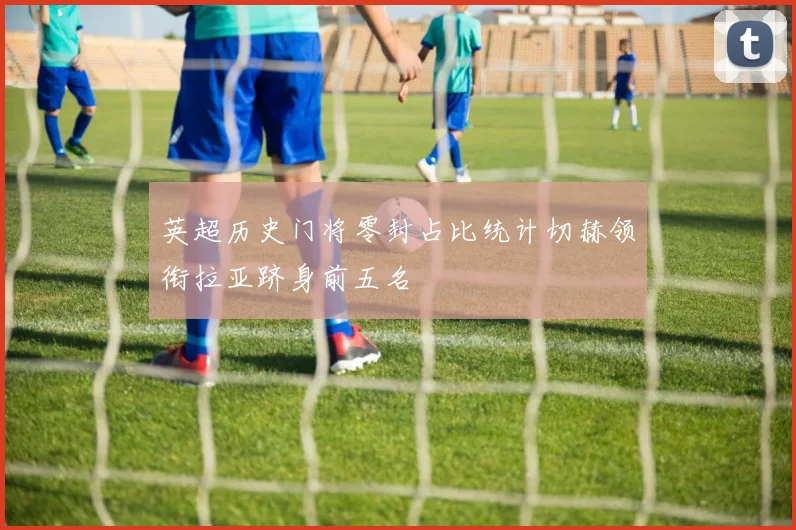 英超历史门将零封占比统计切赫领衔拉亚跻身前五名